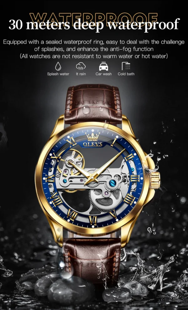 OLEVS 6661 Herren Automatikuhr – Luxus Tourbillon, Lederarmband & Leuchtfunktion – Bild 25